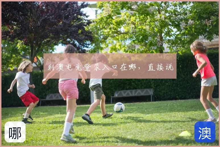 利澳电竞登录入口在哪，直接说